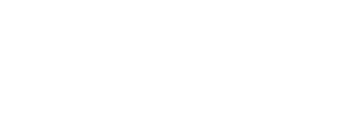 OpenChapter Holdings logo